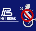 Lizard Pest Control - Pest Brisk