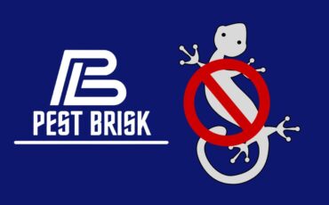 Lizard Pest Control - Pest Brisk