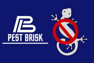 Lizard Pest Control - Pest Brisk Lizard Pest Control - Pest Brisk