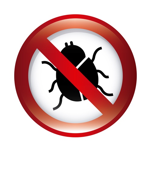 bed bug control